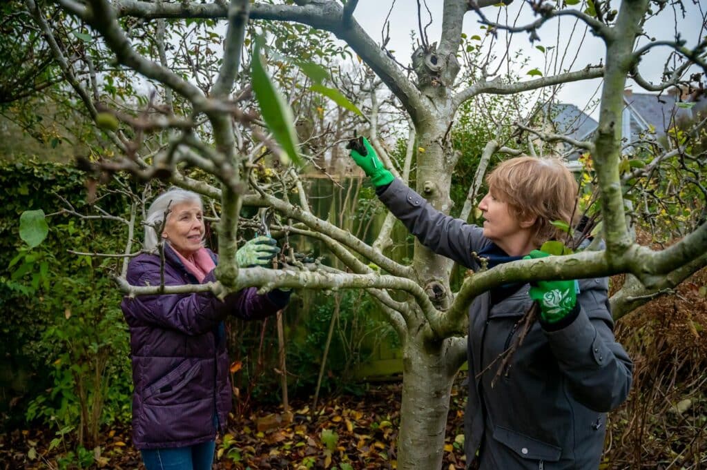 Two women wearing gloves and jackets perform DIY tree care, trimming branches in a backyard garden.